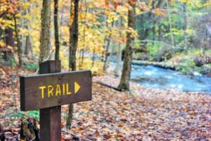 What Is The Longest Hiking Trail In North America?