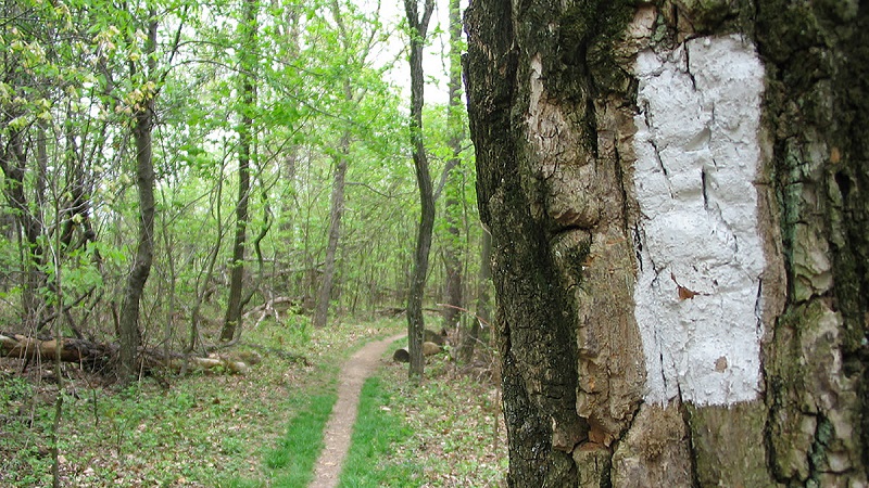 Hiking Trail Markers