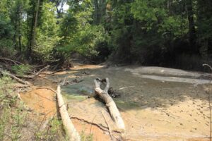 Is There Quicksand in Olympic National Park?