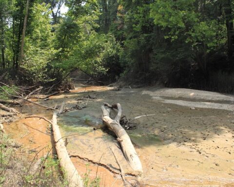 Is There Quicksand in Olympic National Park?